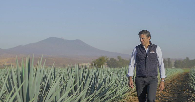 A New Era Of Tequila  Julien Morel about "Volcán de mi Tierra"  about