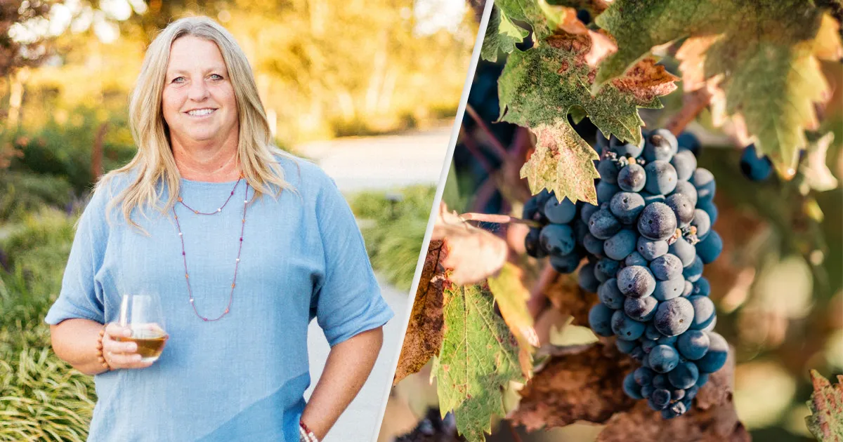 ironstone vineyards interview