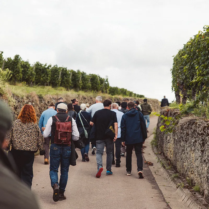 Aberfeldy Barrels & Grapes Event