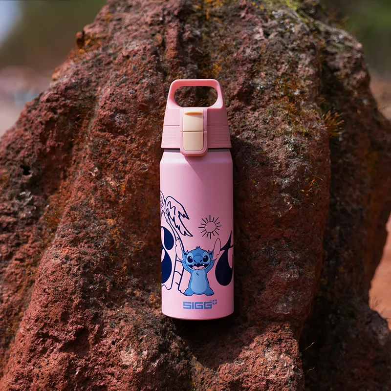 SIGG Disney