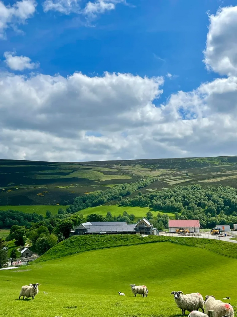 cabrach distillery