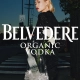 Belvedere Vodka Tyler Mitchell