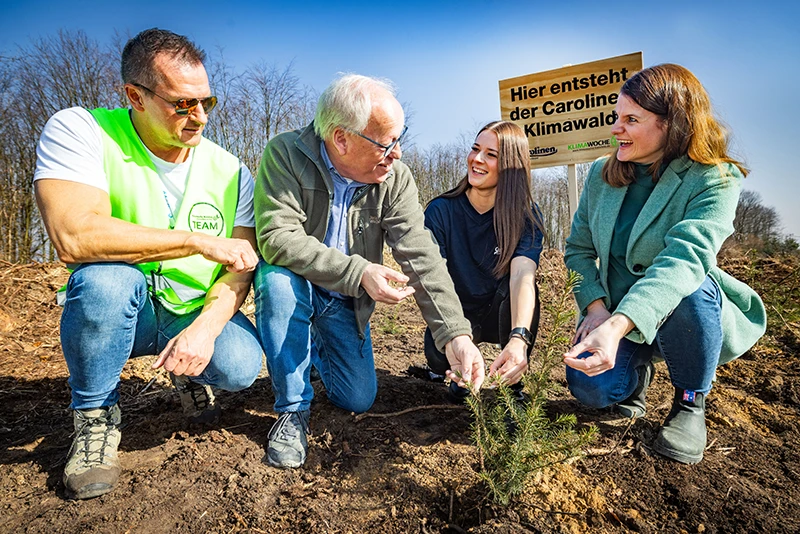 klimawald carolinen